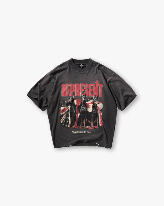 Dream On Tour T-Shirt - Sun Fade Grey